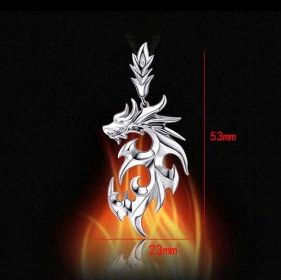 🔥Shenglong Dragon Pendant Necklace - Picture 3 of 7